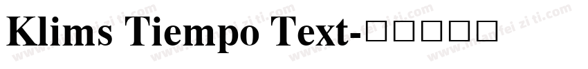 Klims Tiempo Text字体转换